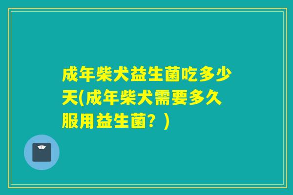 成年柴犬益生菌吃多少天(成年柴犬需要多久服用益生菌？)