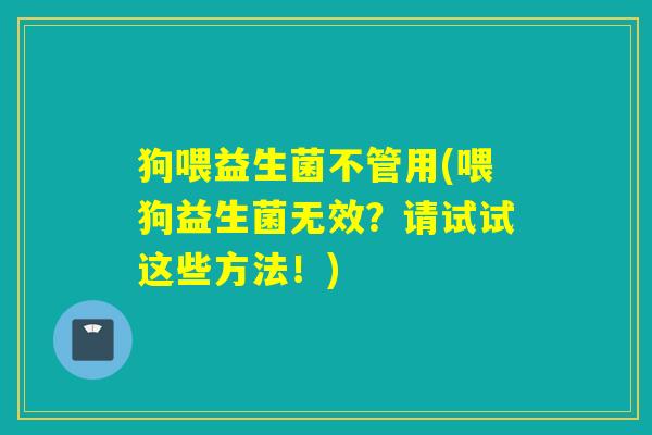 狗喂益生菌不管用(喂狗益生菌无效?请试试这些方法!) 狗喂益生菌不管用(喂狗益生菌无效?请试试这些方法!)