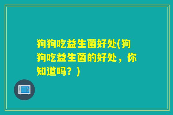 狗狗吃益生菌好处(狗狗吃益生菌的好处,你知道吗?) 狗狗吃益生菌好处(狗狗吃益生菌的好处,你知道吗?)