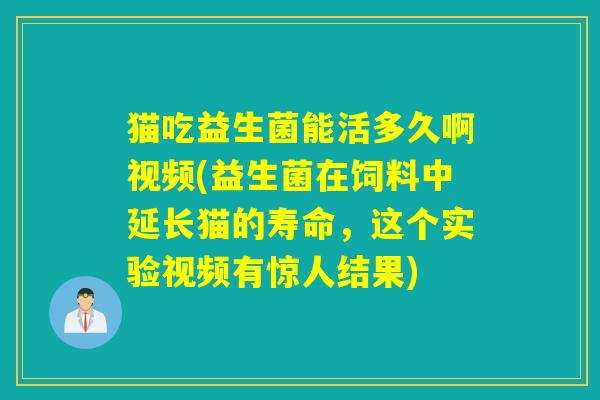 猫吃益生菌能活多久啊视频(益生菌在饲料中延长猫的寿命，这个实验视频有惊人结果)