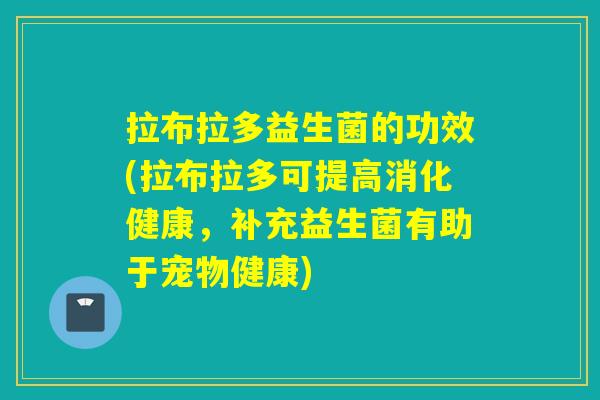 拉布拉多益生菌的功效(拉布拉多可提高消化健康，补充益生菌有助于宠物健康)