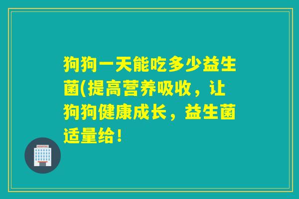 狗狗一天能吃多少益生菌(提高营养吸收，让狗狗健康成长，益生菌适量给！