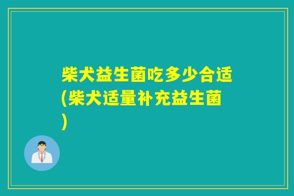 柴犬益生菌吃多少合适(柴犬适量补充益生菌)