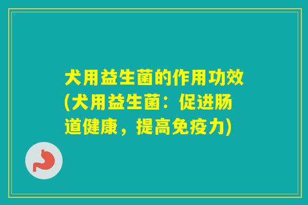 犬用益生菌的作用功效(犬用益生菌：促进肠道健康，提高力)