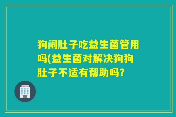 狗闹肚子吃益生菌管用吗(益生菌对解决狗狗肚子不适有帮助吗？