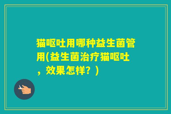 猫用哪种益生菌管用(益生菌猫，效果怎样？)