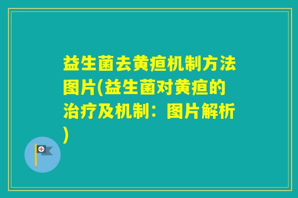 益生菌去黄疸机制方法图片(益生菌对黄疸的及机制：图片解析)