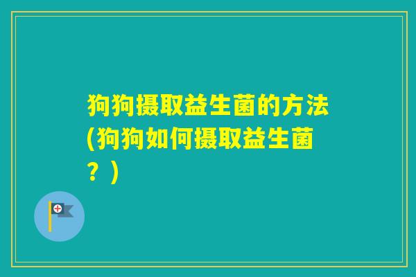 狗狗摄取益生菌的方法(狗狗如何摄取益生菌?) 狗狗摄取益生菌的方法(狗狗如何摄取益生菌?)