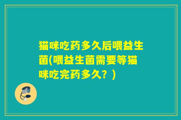 猫咪吃药多久后喂益生菌(喂益生菌需要等猫咪吃完药多久？)