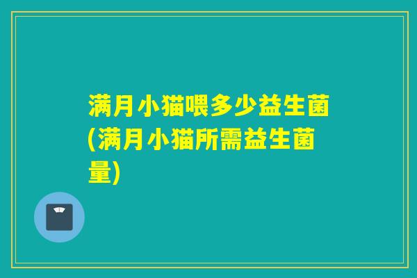 满月小猫喂多少益生菌(满月小猫所需益生菌量)