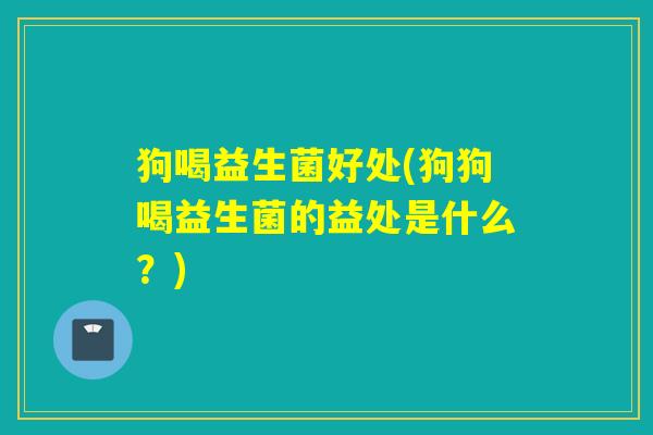 狗喝益生菌好处(狗狗喝益生菌的益处是什么?) 狗喝益生菌好处(狗狗喝益生菌的益处是什么?)