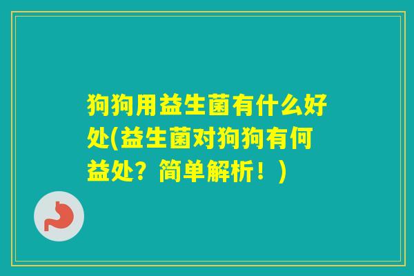 狗狗用益生菌有什么好处(益生菌对狗狗有何益处？简单解析！)