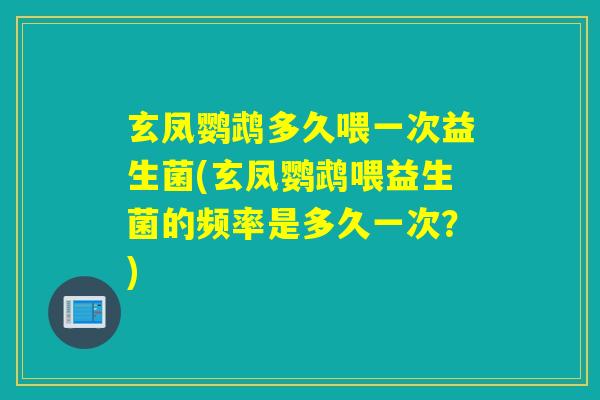 玄凤鹦鹉多久喂一次益生菌(玄凤鹦鹉喂益生菌的频率是多久一次？)