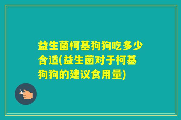 益生菌柯基狗狗吃多少合适(益生菌对于柯基狗狗的建议食用量) 益生菌柯基狗狗吃多少合适(益生菌对于柯基狗狗的建议食用量)