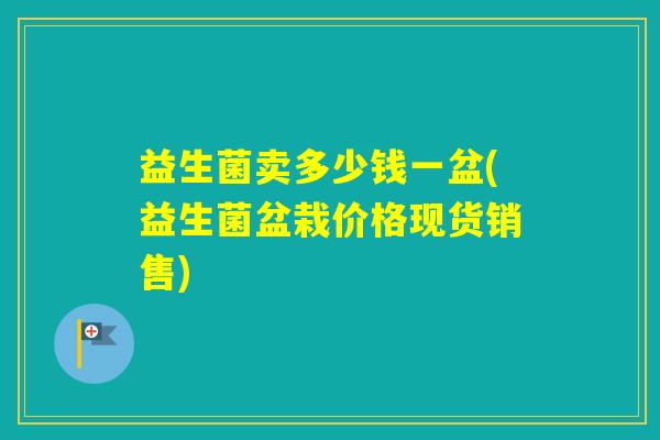益生菌卖多少钱一盆(益生菌盆栽价格现货销售)