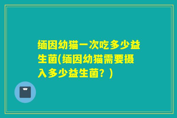 缅因幼猫一次吃多少益生菌(缅因幼猫需要摄入多少益生菌？)