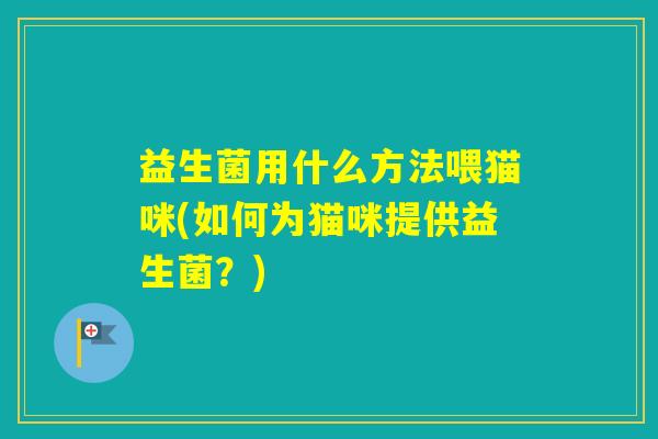 益生菌用什么方法喂猫咪(如何为猫咪提供益生菌？)