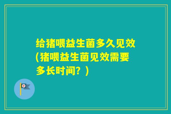 给猪喂益生菌多久见效(猪喂益生菌见效需要多长时间？)