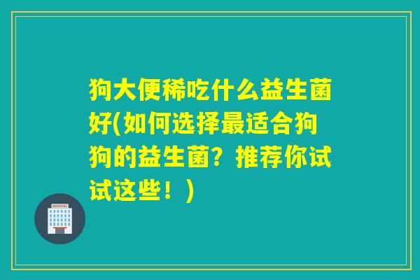 狗大便稀吃什么益生菌好(如何选择适合狗狗的益生菌？推荐你试试这些！)