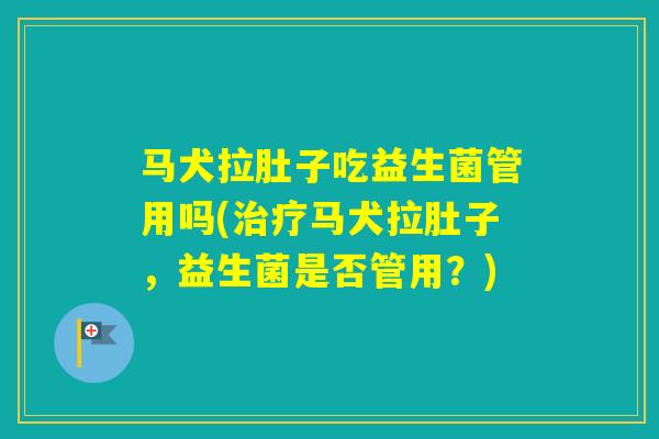 马犬拉肚子吃益生菌管用吗(马犬拉肚子，益生菌是否管用？)