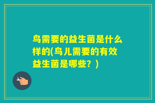 鸟需要的益生菌是什么样的(鸟儿需要的有效益生菌是哪些？)