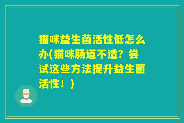 猫咪益生菌活性低怎么办(猫咪肠道不适？尝试这些方法提升益生菌活性！)