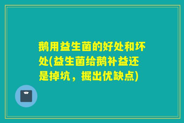 鹅用益生菌的好处和坏处(益生菌给鹅补益还是掉坑，掘出优缺点)