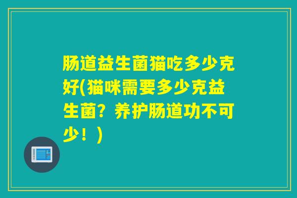 肠道益生菌猫吃多少克好(猫咪需要多少克益生菌？养护肠道功不可少！)