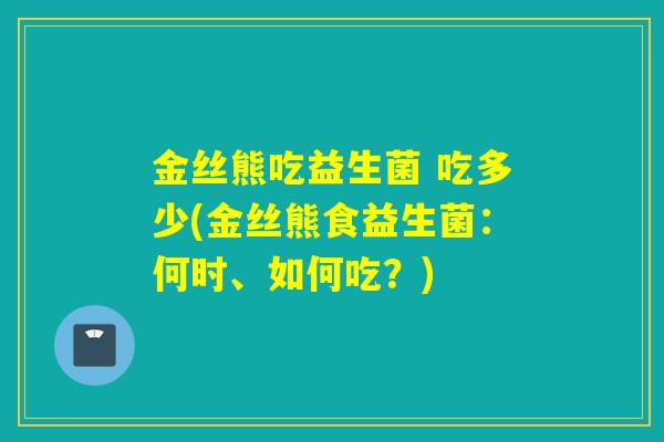 金丝熊吃益生菌 吃多少(金丝熊食益生菌：何时、如何吃？)