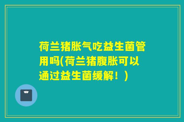 荷兰猪吃益生菌管用吗(荷兰猪可以通过益生菌缓解！)