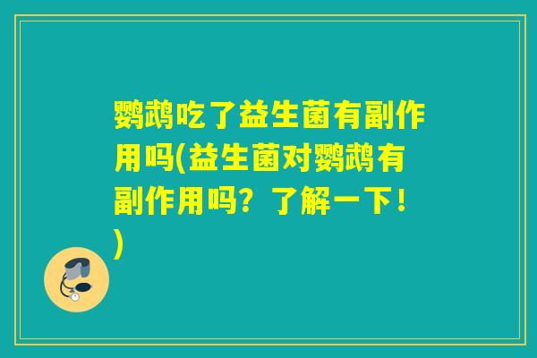 鹦鹉吃了益生菌有副作用吗(益生菌对鹦鹉有副作用吗？了解一下！)