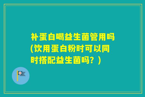 补蛋白喝益生菌管用吗(饮用蛋白粉时可以同时搭配益生菌吗？)