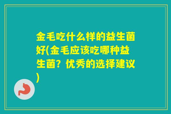 金毛吃什么样的益生菌好(金毛应该吃哪种益生菌？优秀的选择建议)