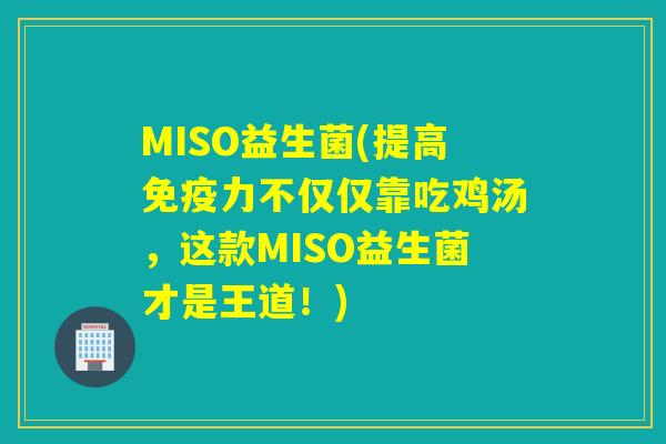 MISO益生菌(提高力不仅仅靠吃鸡汤，这款MISO益生菌才是王道！)