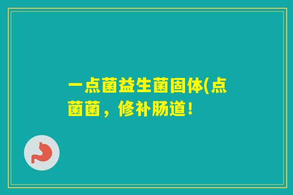 一点菌益生菌固体(点菌菌，修补肠道！