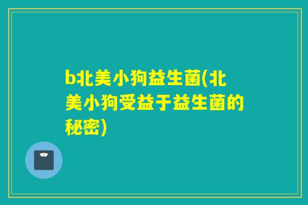 b北美小狗益生菌(北美小狗受益于益生菌的秘密) b北美小狗益生菌(北美小狗受益于益生菌的秘密)