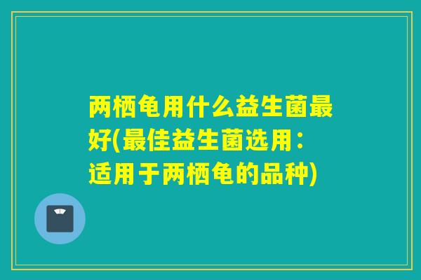 两栖龟用什么益生菌好(佳益生菌选用：适用于两栖龟的品种)