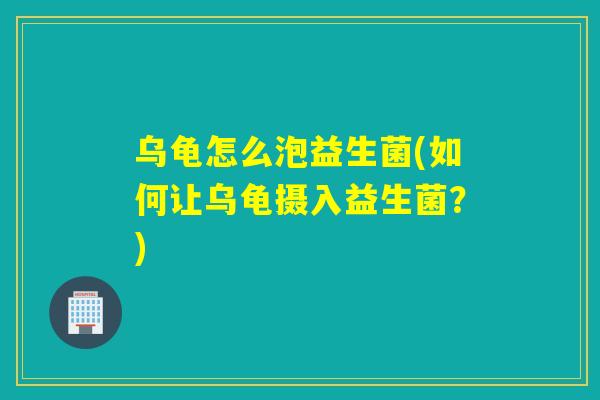 乌龟怎么泡益生菌(如何让乌龟摄入益生菌？)
