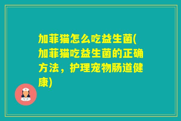 加菲猫怎么吃益生菌(加菲猫吃益生菌的正确方法，护理宠物肠道健康)