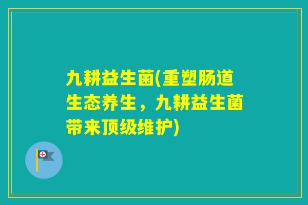 九耕益生菌(重塑肠道生态养生,九耕益生菌带来维护) 九耕益生菌(重塑肠道生态养生,九耕益生菌带来维护)
