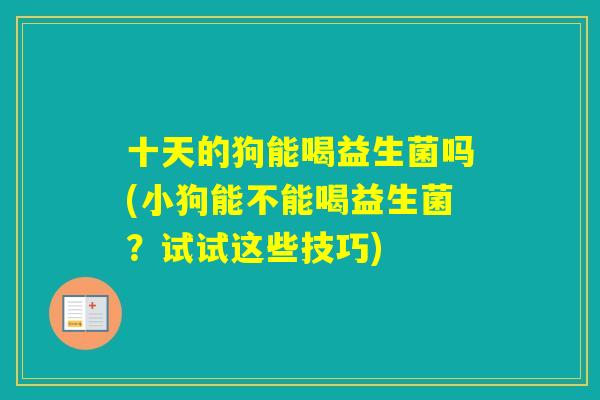 十天的狗能喝益生菌吗(小狗能不能喝益生菌？试试这些技巧)