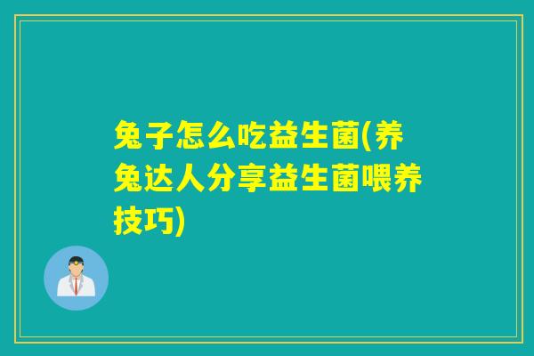 兔子怎么吃益生菌(养兔达人分享益生菌喂养技巧)