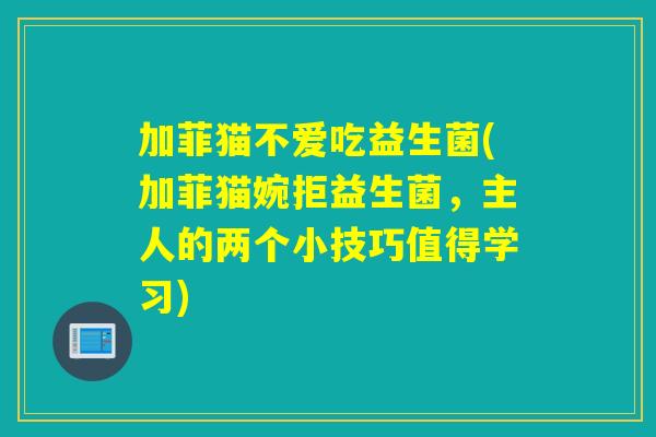 加菲猫不爱吃益生菌(加菲猫婉拒益生菌，主人的两个小技巧值得学习)