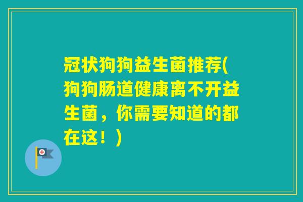 冠状狗狗益生菌推荐(狗狗肠道健康离不开益生菌，你需要知道的都在这！)