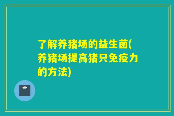 了解养猪场的益生菌(养猪场提高猪只力的方法)