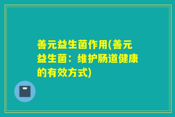 善元益生菌作用(善元益生菌：维护肠道健康的有效方式)