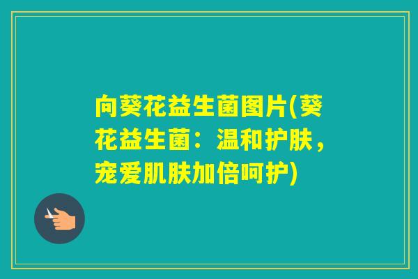 向葵花益生菌图片(葵花益生菌：温和护肤，宠爱加倍呵护)