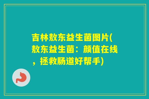 吉林敖东益生菌图片(敖东益生菌：颜值在线，拯救肠道好帮手)