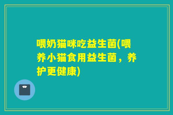 喂奶猫咪吃益生菌(喂养小猫食用益生菌，养护更健康)