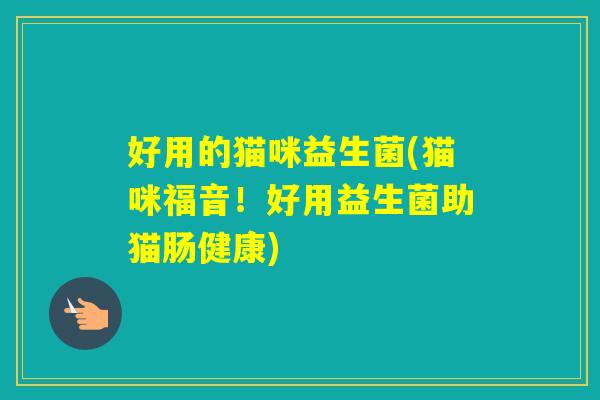 好用的猫咪益生菌(猫咪福音！好用益生菌助猫肠健康)